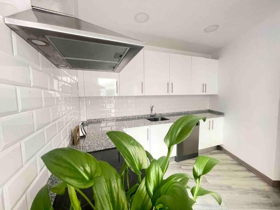 Ferienwohnung Precioso Piso En El Centro Málaga Exterior foto